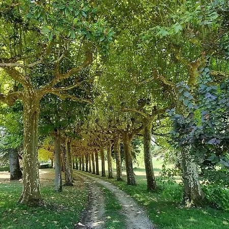 Chateau D'issandou Golfech